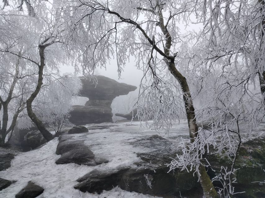From Prague: Bohemian & Saxon Switzerland Iconic Day Trip - Crossing Into Germany: Why the Border Crossing Is Part of the Magic