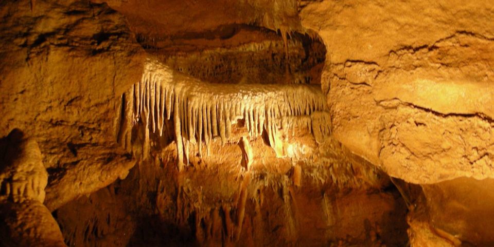 From Prague: Karlštejn Castle & Koněprusy Caves Tour - Price and value: why $169 can work if you want the full package