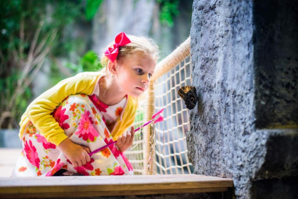 Prague: Papilonia Butterfly House - How long to stay and when to go in Prague