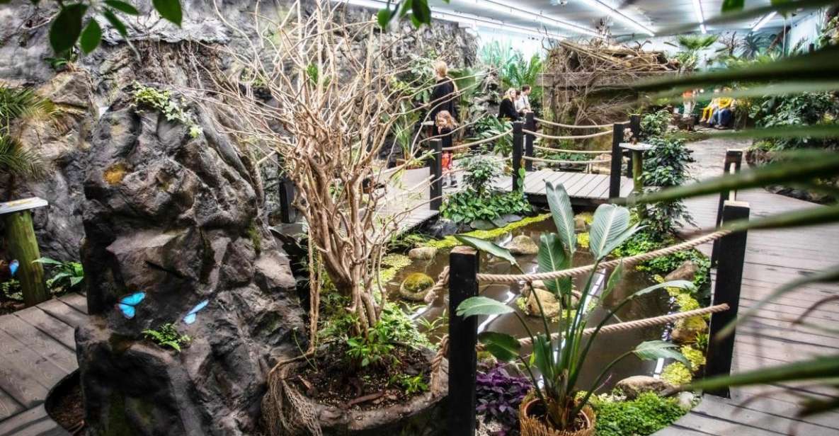 Prague: Papilonia Butterfly House - Papilonia Butterfly House Prague: what the $9 ticket really buys