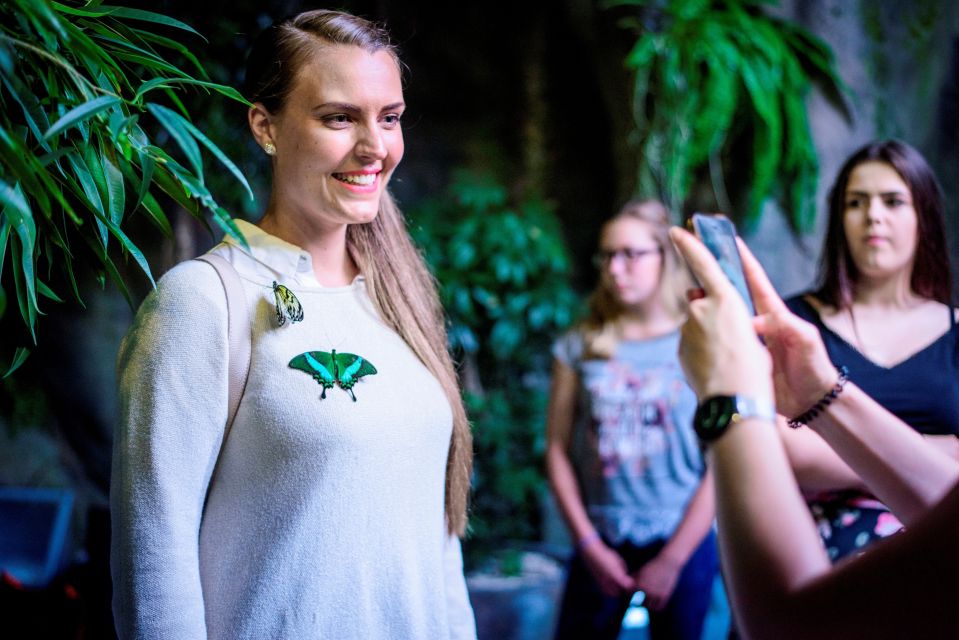 Prague: Papilonia Butterfly House - Check-in, lockers, and why the room feels warm