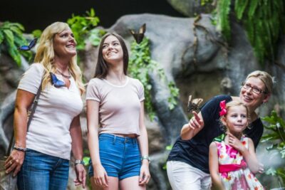 Prague: Papilonia Butterfly House - Finding the entrance near The Playground on the 1st floor