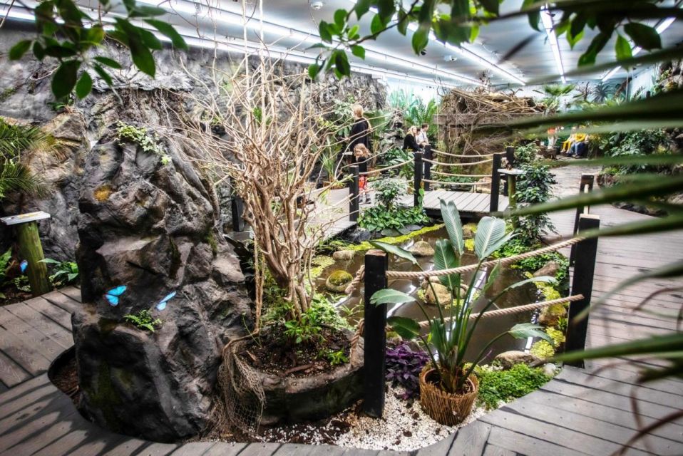 Prague: Papilonia Butterfly House - Cocoons, fruit, and the quiet work of an indoor ecosystem