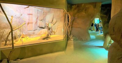 Prague: Prague Zoo Audio Guide with E-Ticket - Getting your e-ticket fast and starting at the right entrance