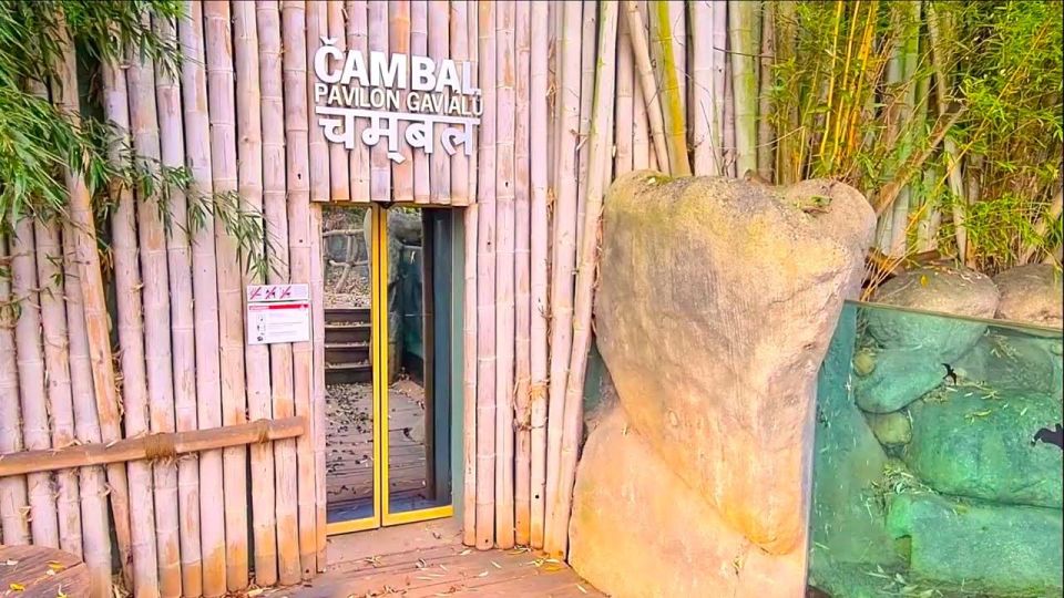 Prague: Prague Zoo Audio Guide with E-Ticket - Time it right: what 1 day really means at Prague Zoo