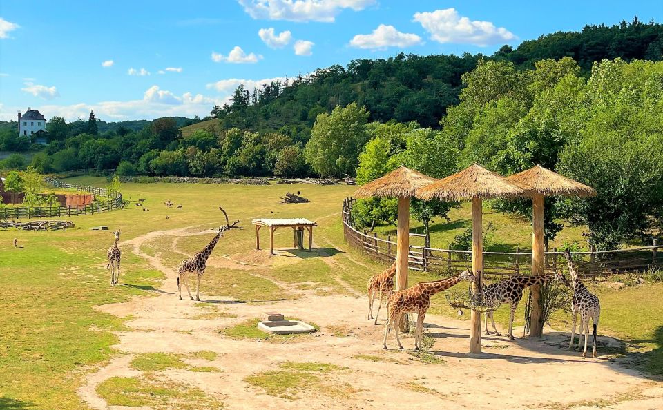 Prague: Prague Zoo Audio Guide with E-Ticket - Families, toddlers, and mobility: who this suits best
