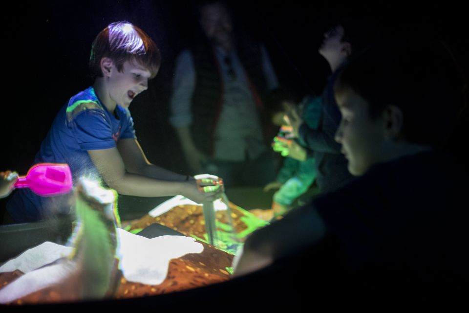 Prague: Ticket to Audiovisual Light Art at Lumia Gallery - Inside Lumia Gallery: Why This Light Art Ticket Feels Different