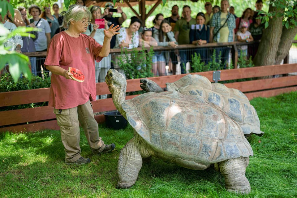 Prague Zoo: Skip-the-Line Entry Ticket - Key highlights to look for