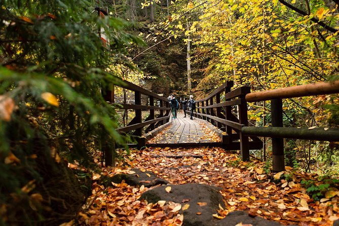 VIP Best Reviews: Bohemian & Saxon Switzerland from Prague - Wild Gorge and the Kamenice River Gorges boat option