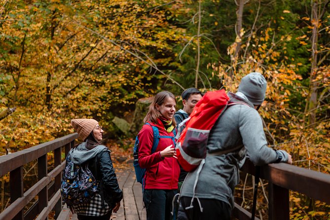 VIP Best Reviews: Bohemian & Saxon Switzerland from Prague - Private tour upgrade: customizing your day without losing the rhythm